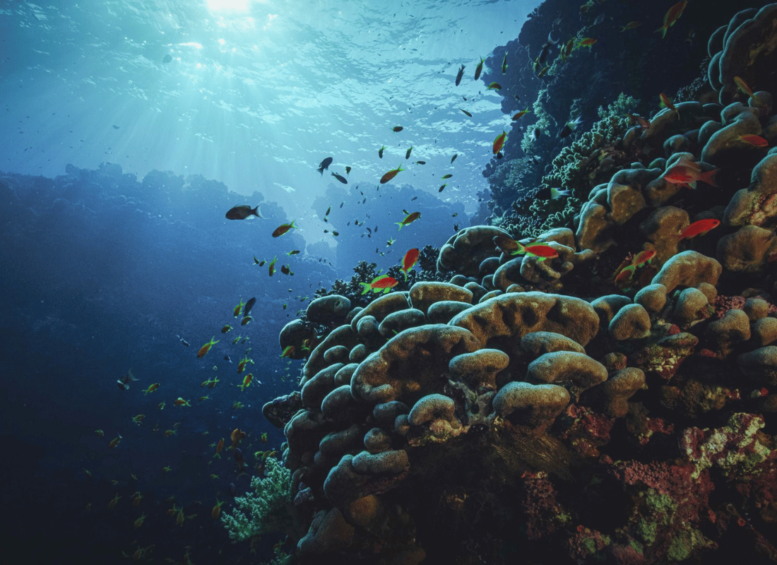 deep-sea_expeditions_TgVySBFK.png