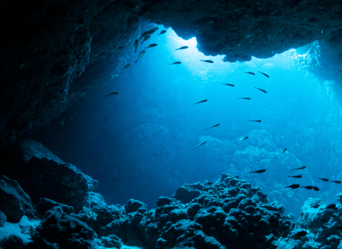 deep-sea_expeditions_hFeQDiNB.png