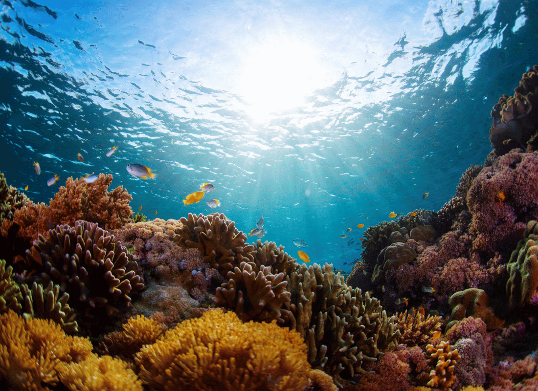 deep-sea_expeditions_l4VbZB20.png
