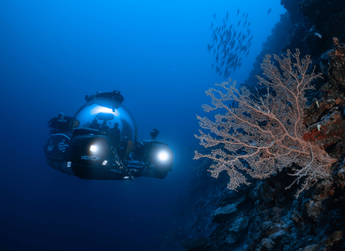 deep-sea_expeditions_qyo7ppvj.png