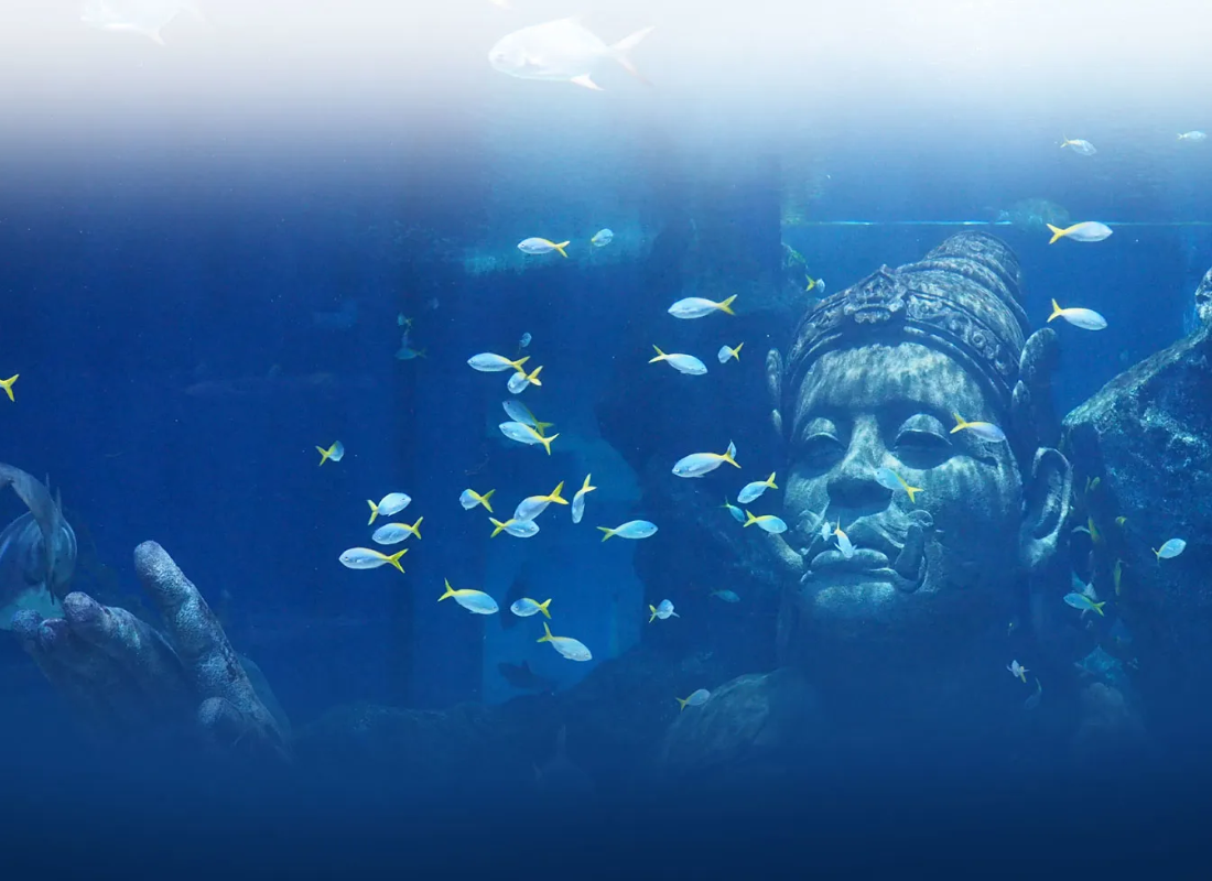 deep‑sea:reservoir_fishing_Jtfvv1TW.png