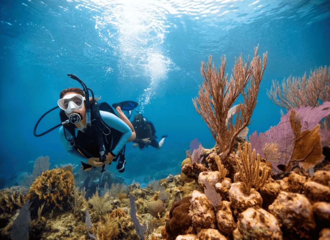 deep‑sea_expeditions_RrFfh9Yj.png