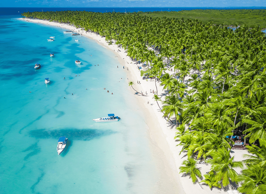 escape_to_caribbean_paradise_zlxN0Uxs.png